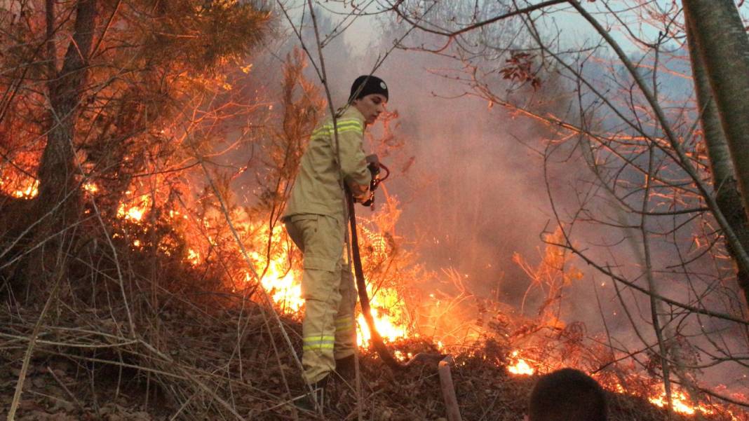 Karasu'da çıkan yangın çam ormanına sıçradı 3
